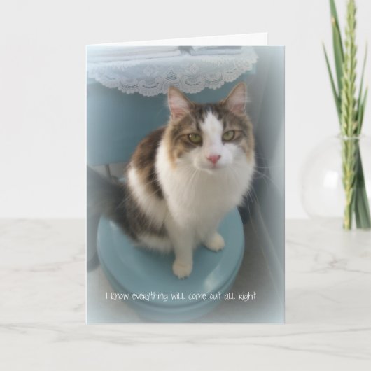 洗面所サポート挨拶状の猫 カード (正面)