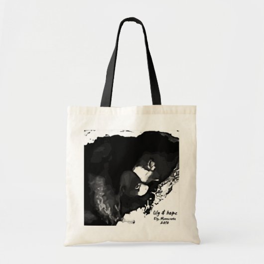 洞穴カムEly 2010年 トートバッグ (正面)