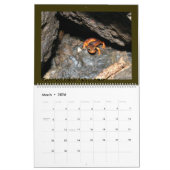 洞窟のカレンダー カレンダー (3月 2026)