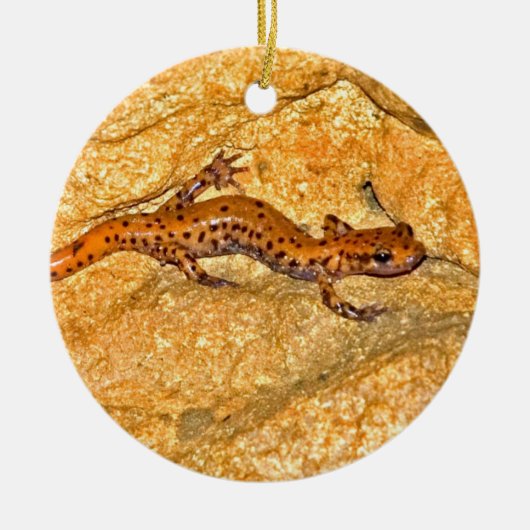 洞窟のサンショウウオ セラミックオーナメント (正面)