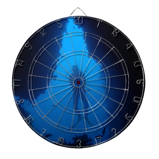 洞窟のダイバー ダーツボード (正面)