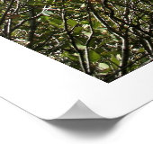 洞窟の形成 ポスター (角)