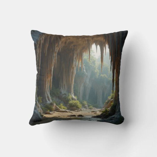 洞窟枕 クッション (裏面)