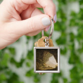 洞窟、ナポリの近くで、1774年(キャンバスの油) キーホルダー (手)