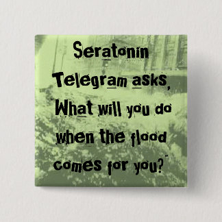 洪水ボタン 缶バッジ