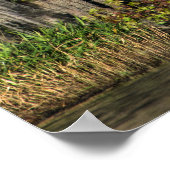 洪水沼にヒノキを植えた池 ポスター (角)