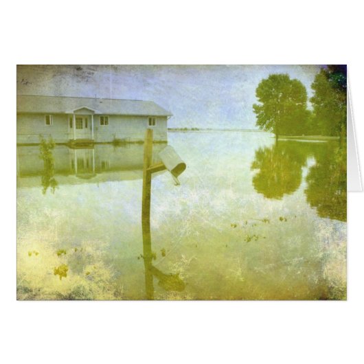 洪水被害 (正面横)