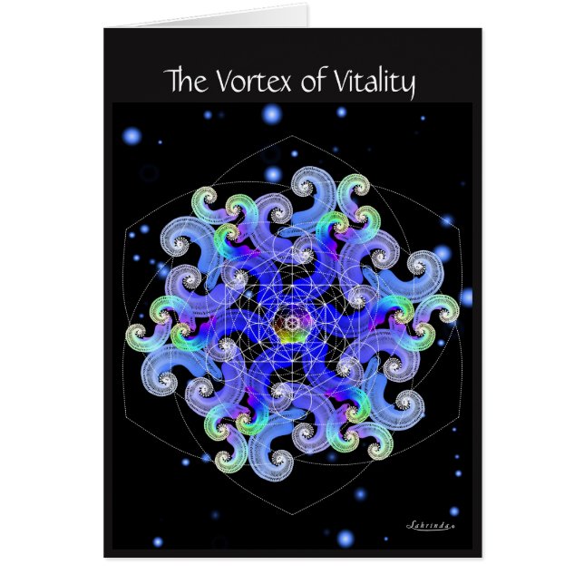 活力の渦 (正面)