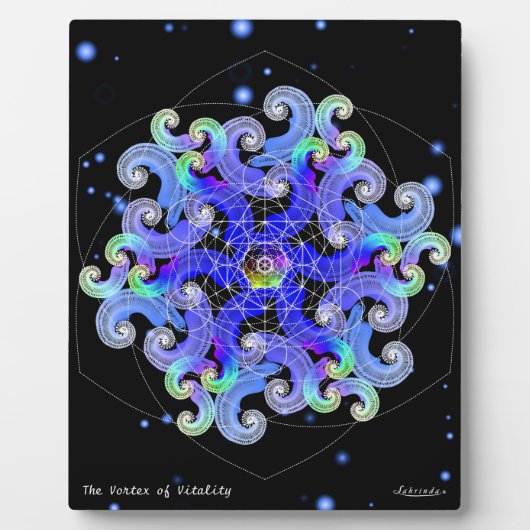 活力の渦 フォトプラーク (正面)