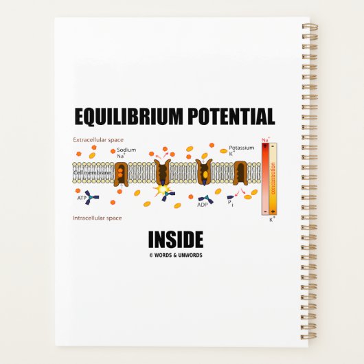 活性輸送中の平衡電位 プランナー手帳 (裏面)