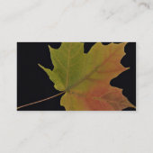 活気づけるなサトウカエデの葉 名刺 (裏面)