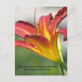 活気付く夢 ポストカード (正面)