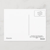 活発な影 ポストカード (裏面)