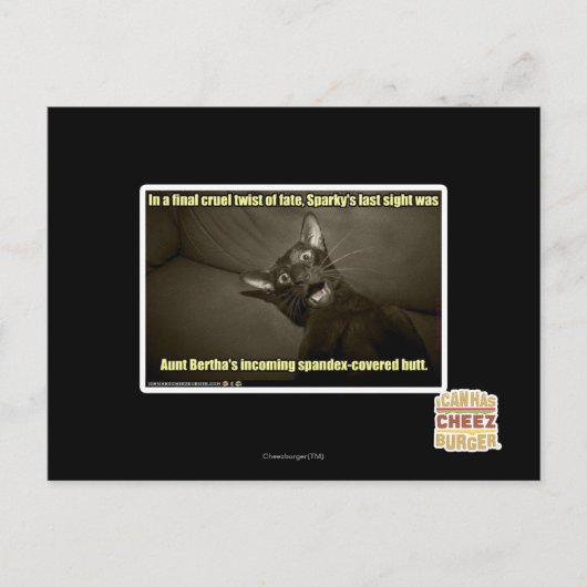 活発な最後の視力 ポストカード (正面)