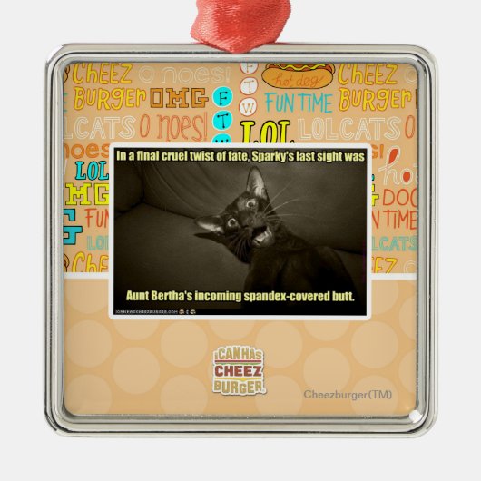 活発な最後の視力 メタルオーナメント (正面)