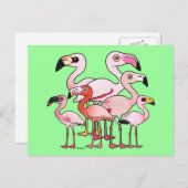 派手さ ポストカード (正面/裏面)