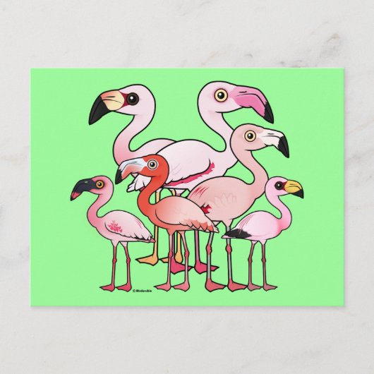 派手さ ポストカード (正面)