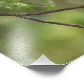 派手なオスの朱色のヒラメ フォトプリント            (角)