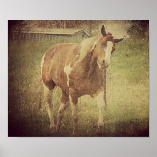 派手なシェイクヘッド ポスター (正面)