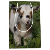 派手なナイジェリア人のドワーフ・ヤギの子 ミディアムペーパーバッグ (正面)