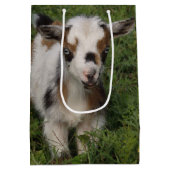 派手なナイジェリア人のドワーフ・ヤギの子 ミディアムペーパーバッグ (裏面)