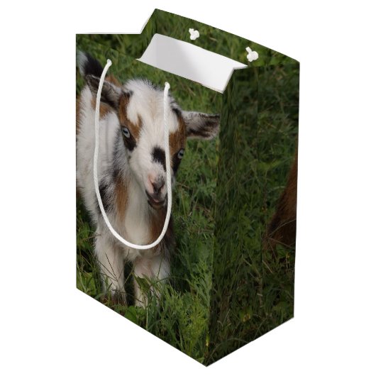 派手なナイジェリア人のドワーフ・ヤギの子 ミディアムペーパーバッグ (裏面アングル)