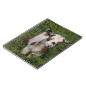 派手なナイジェリア人矮性乳製品ヤギの子 ノートブック (左側)