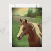 派手なビンテージ ポストカード (正面/裏面)