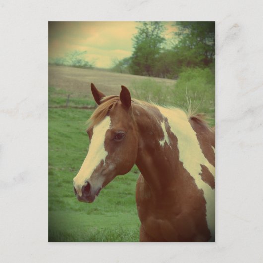 派手なビンテージ ポストカード (正面)