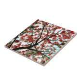 派手なポ王室のインシアナの木 タイル (側面)