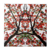 派手なポ王室のインシアナの木 タイル (正面)