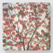 派手なポ王室のインシアナフローラ植物学 ストーンコースター (正面)