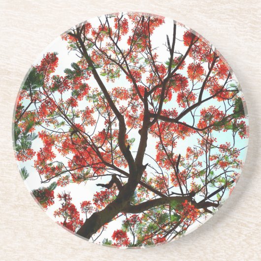 派手なポ王室のインシアナ火炎ツリーストーン コースター (正面)
