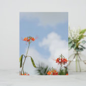 派手なポ王室のインシアナ。フローラスカイブルー (スタンド正面)