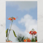 派手なポ王室のインシアナ。フローラスカイブルー (正面)