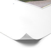 派手なレディーズスリッパ – キプリペジウムレジナエ ポスター (角)