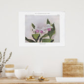 派手なレディーズスリッパ – キプリペジウムレジナエ ポスター (キッチン)