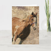 派手なヴィンテージグランジすべての行事 カード (正面)