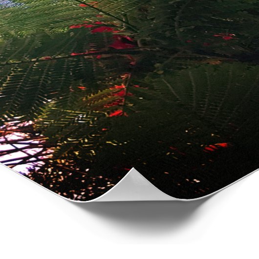 派手な木 ポスター (角)