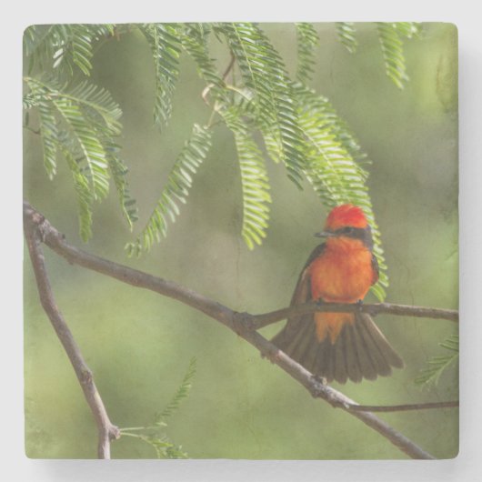 派手な朱色の捕手 ストーンコースター (正面)