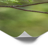 派手な朱色の捕手 ポスター (角)