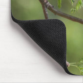 派手な朱色の捕手 マウスパッド (コーナー)