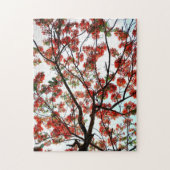 派手な炎の木ポインチャ王室のアナ写真 ジグソーパズル (縦)