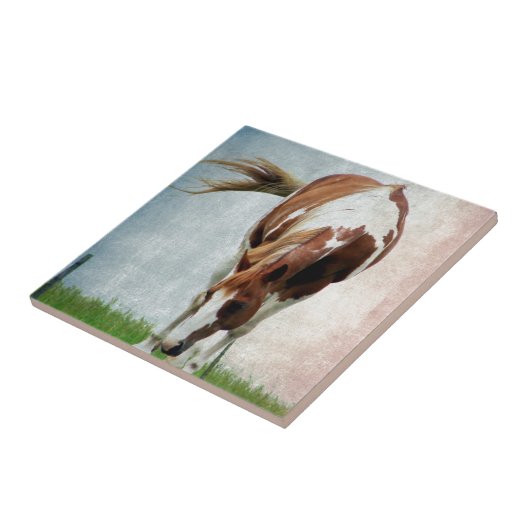 派手な絵を描馬馬の馬 タイル (側面)