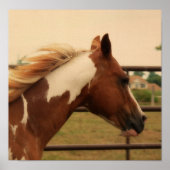 派手な ポスター (正面)