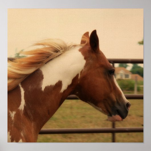 派手な ポスター (正面)