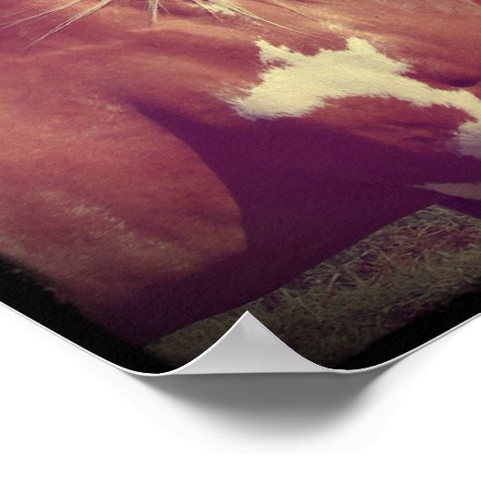 派手な ポスター (角)