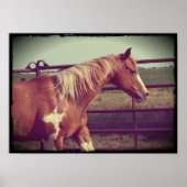 派手な ポスター (正面)