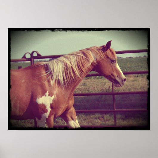 派手な ポスター (正面)