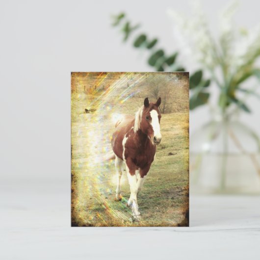 派手な ポストカード (スタンド正面)